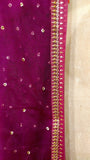 Phalsa organza embroidered dupatta (BK-04/DUP)