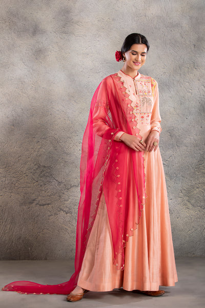 BLUSH ANARKALI SET WITH PINK DUPATTA (MP-03)