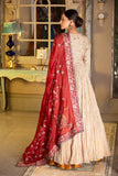 Red silk organza overall embroidered dupatta ( DUP-41 )