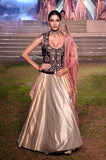 Gold and silver hand embroidered lehenga set (TL-103)