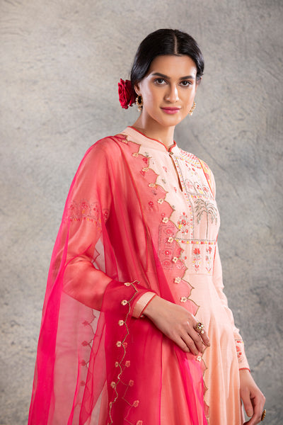 BLUSH ANARKALI SET WITH PINK DUPATTA (MP-03)