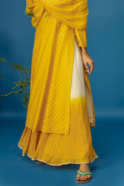 Embroidered Kurta With Dual Colour Crinkle Skirt & Dupatta. Yellow